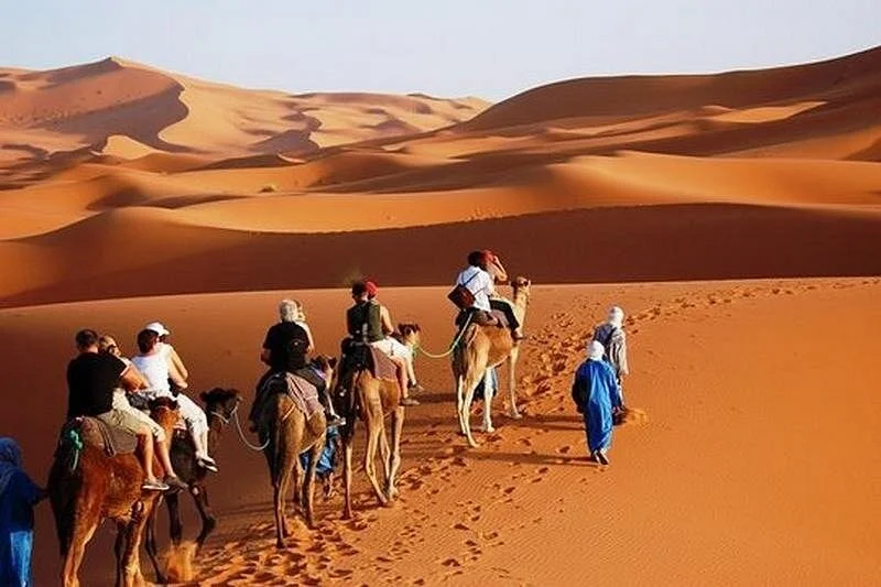 Morocco Pleasure Travel