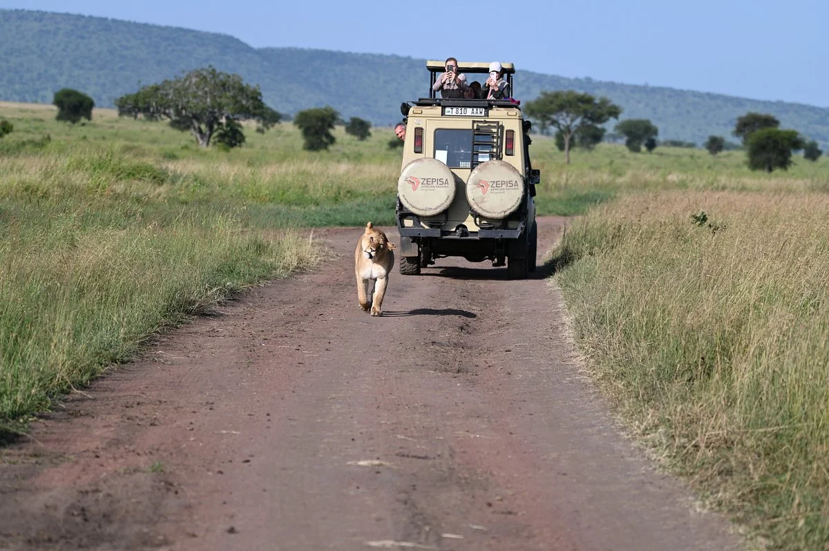 Zepisa African Safaris