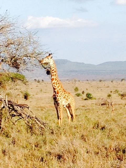 Chacal Expeditions - Day Tours
