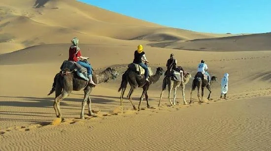 Tours Of Peace & Morocco Holidays - Day Tours