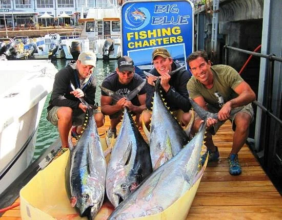 Big Blue Fishing Charters