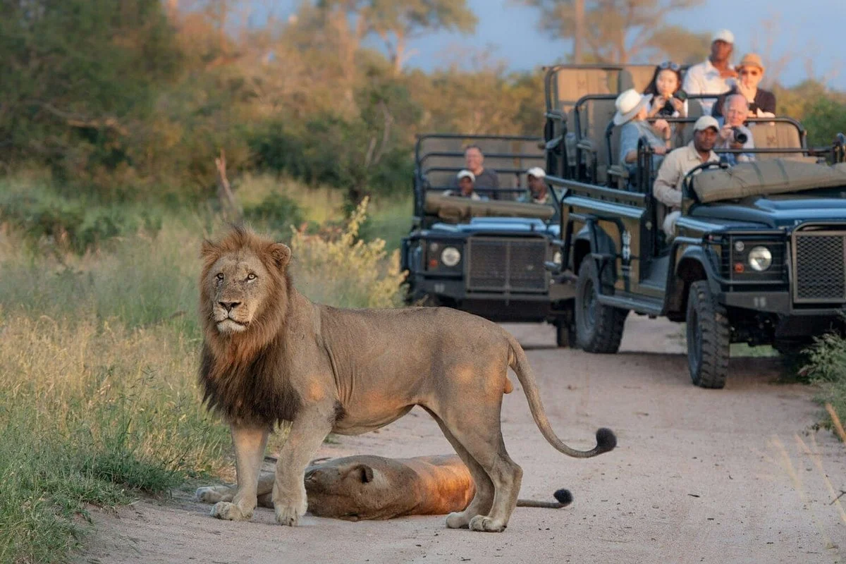 African Travel Consultants