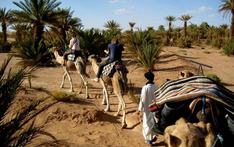 Hire My Guide Morocco Tours