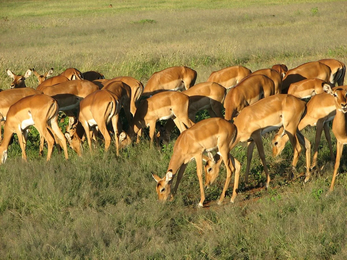 Nature Bound Africa