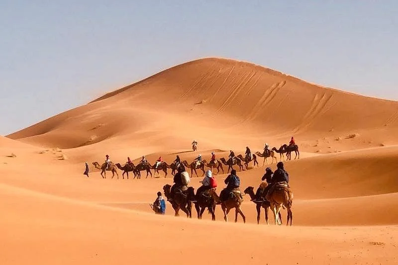 Sahara Sky Tours