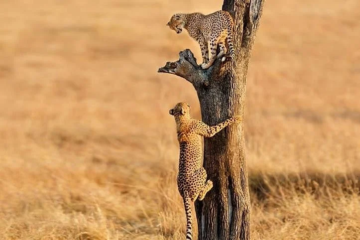 Patmo Tanzania Travel