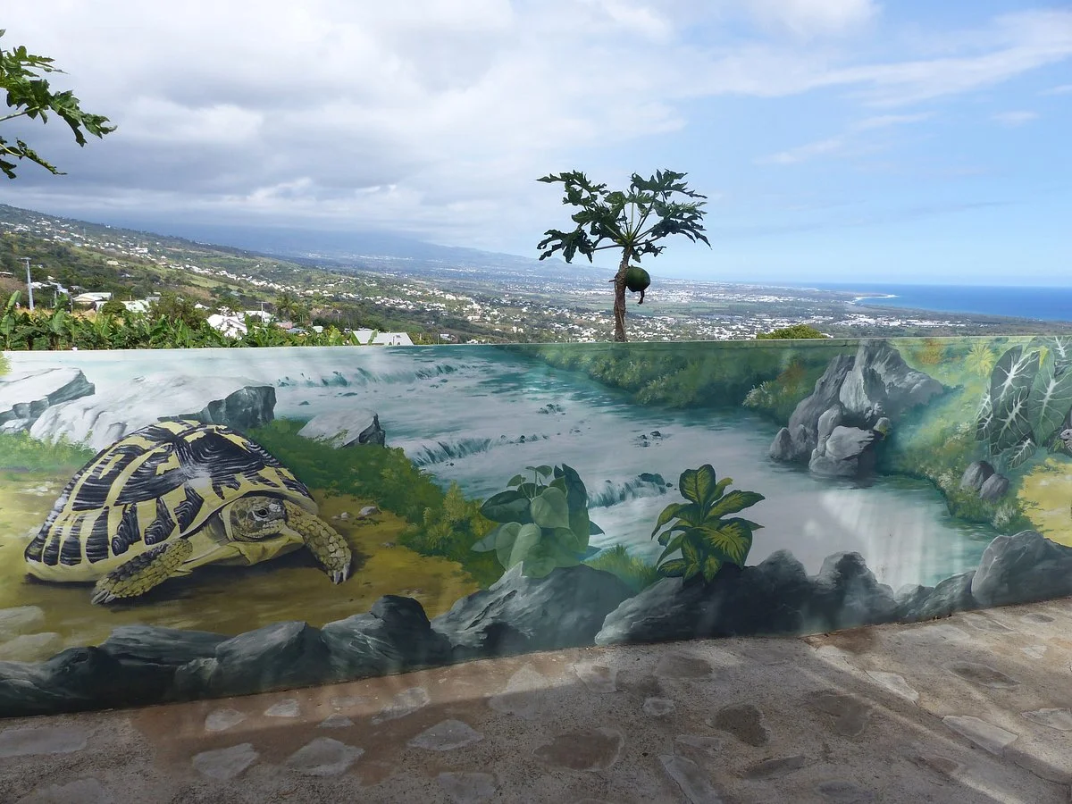 Le Jardin Des Tortues