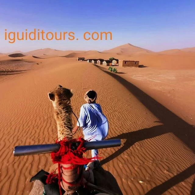 Iguidi Tours