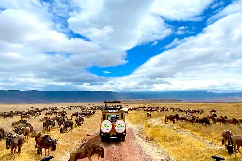Staajabu Africa Travel Limited