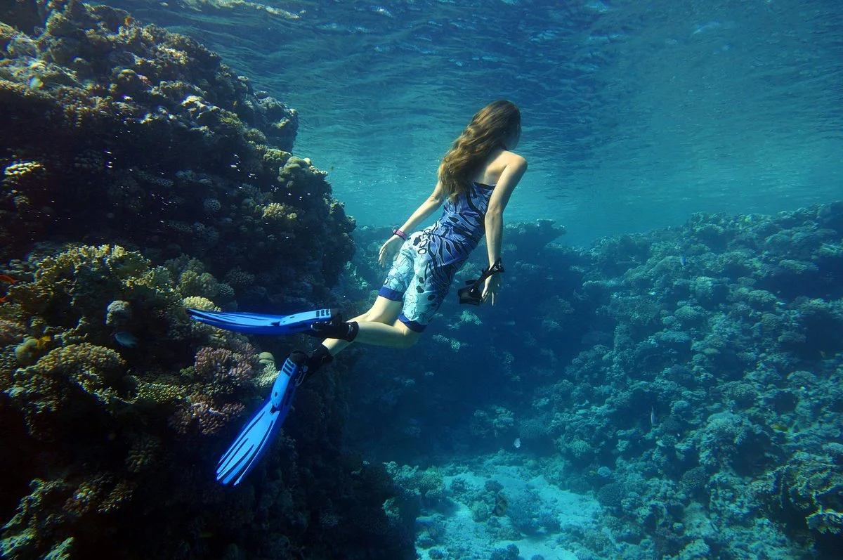 No Limit Diving