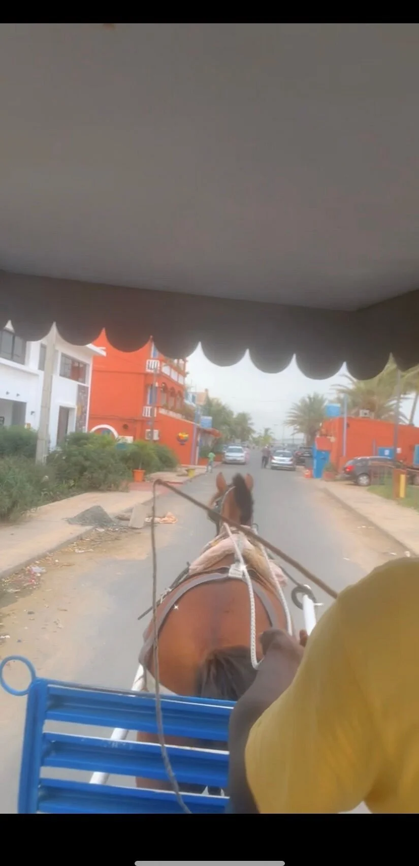 Mohamed City Tours