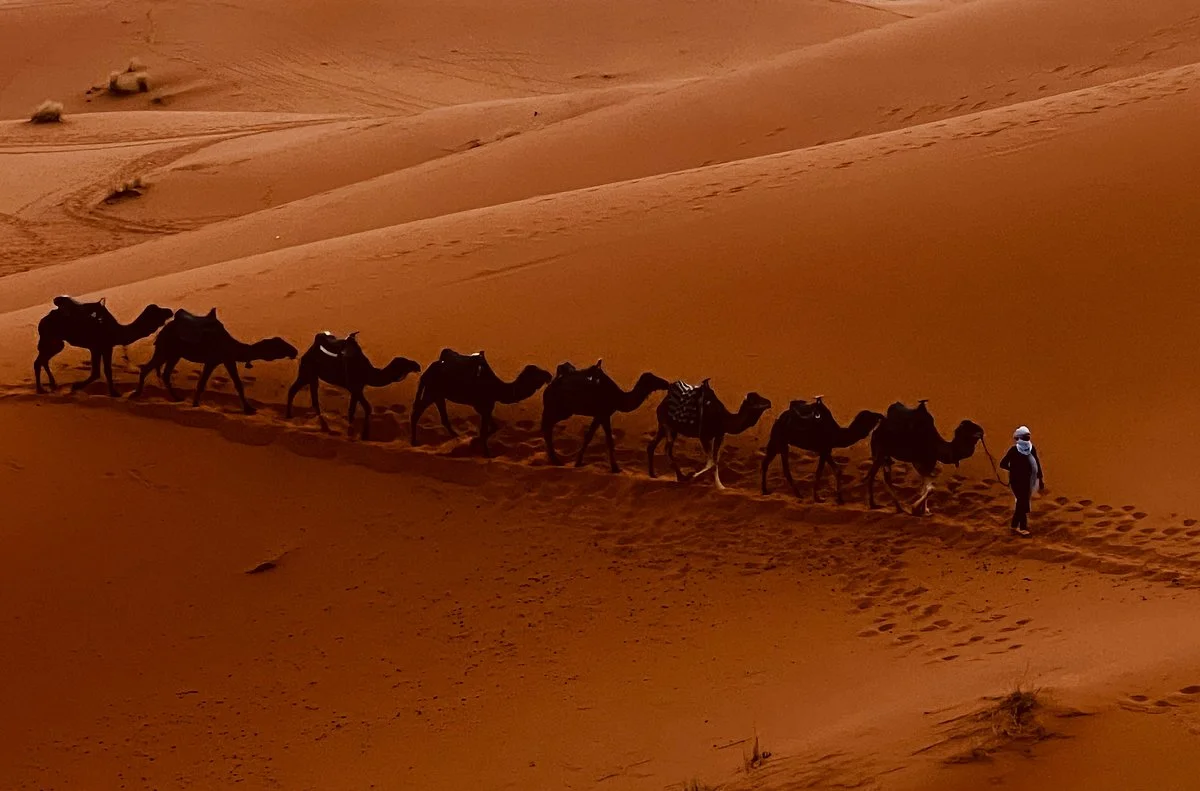 Morocco Travel Desert