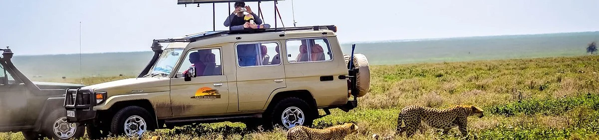 Quest Horizon Safaris