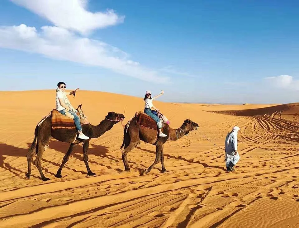 Camel Ride Trips