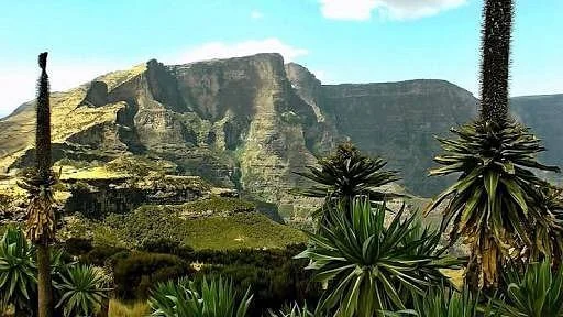 Simien Ethiopia Tours