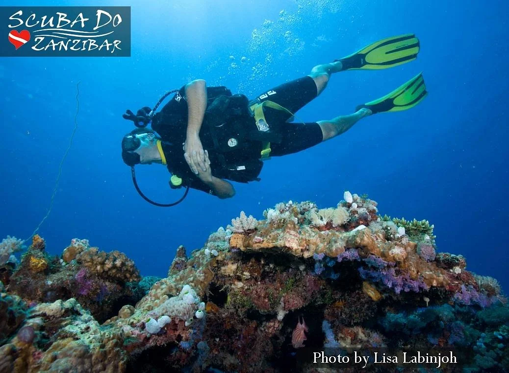 Scuba Do Zanzibar