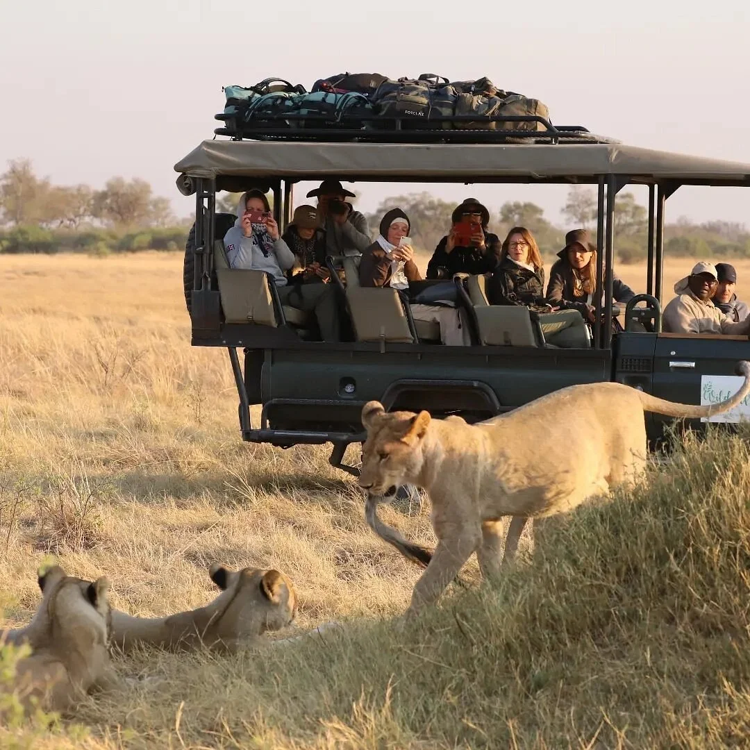 Wild Africa Safaris