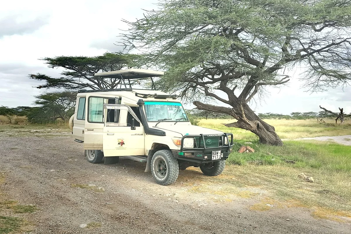 Game Africa Safaris
