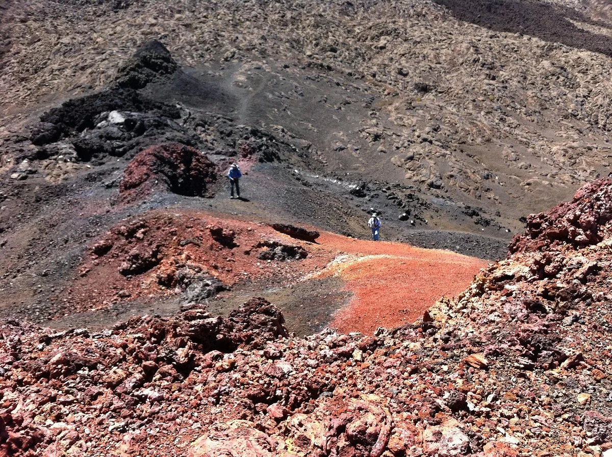 Rando Run Trekking - Day Tours