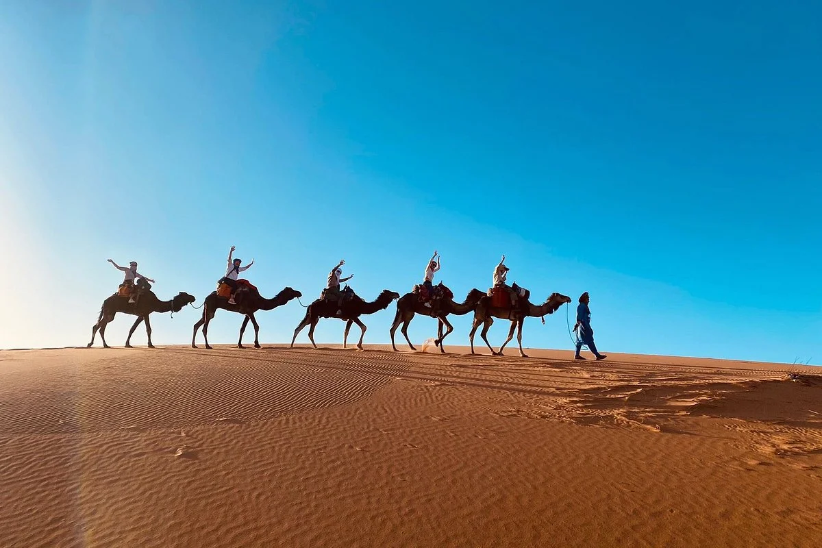 Morocco Expeditions Tours