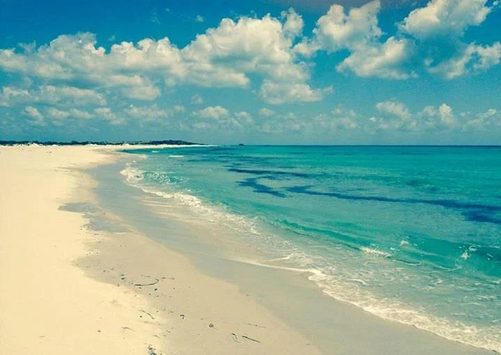 Plage de La Mansourah