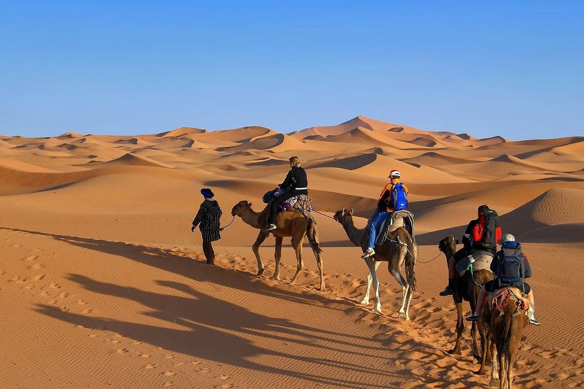Days In Morocco Company