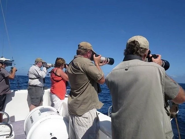 Bustards Birding Tours