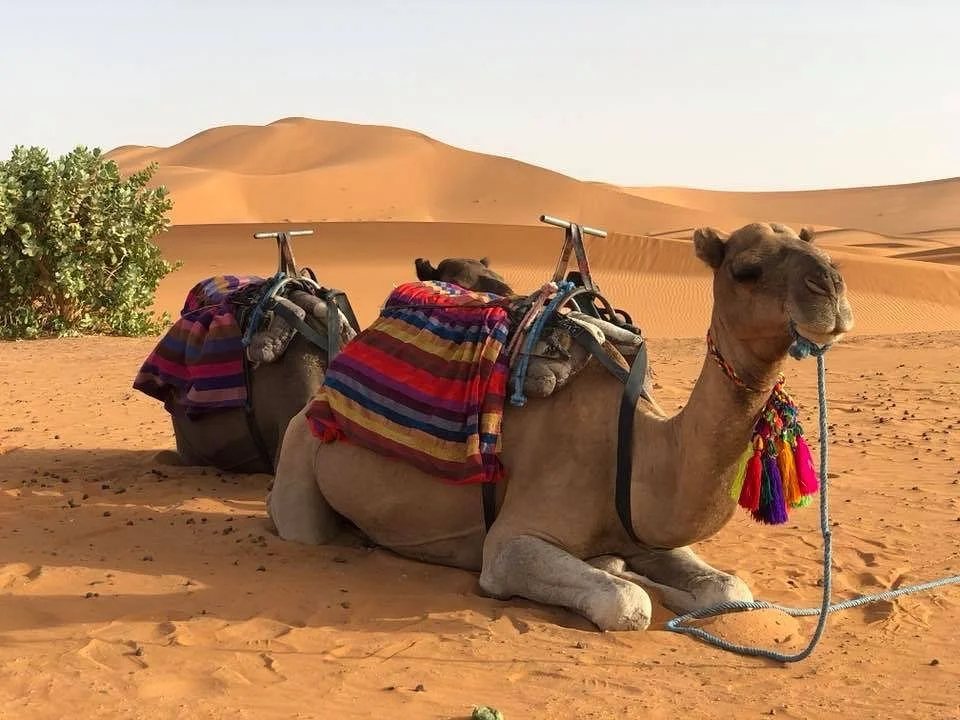 Self Discovery Travel Morocco