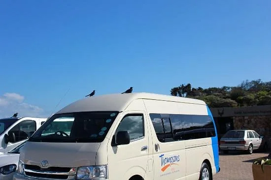 Thompson's Touring & Safaris - Day Tours