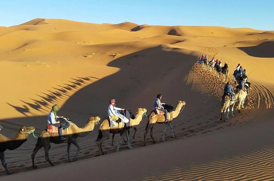 Dunes Tours Travel Agency