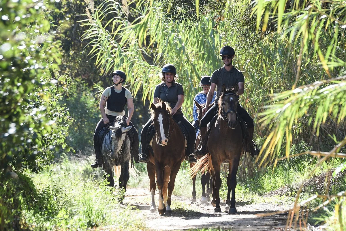 Horseriding at Pink Geranium