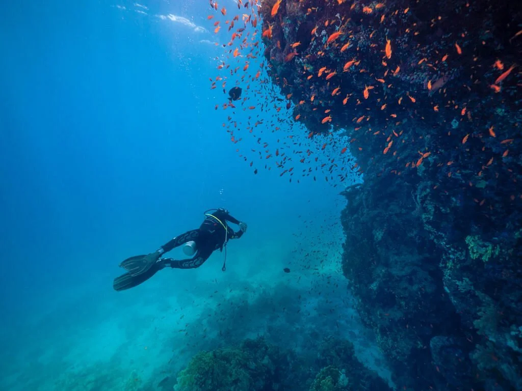 Fish & Friends Diving Centre
