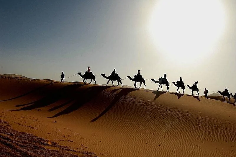 Lovely Travel