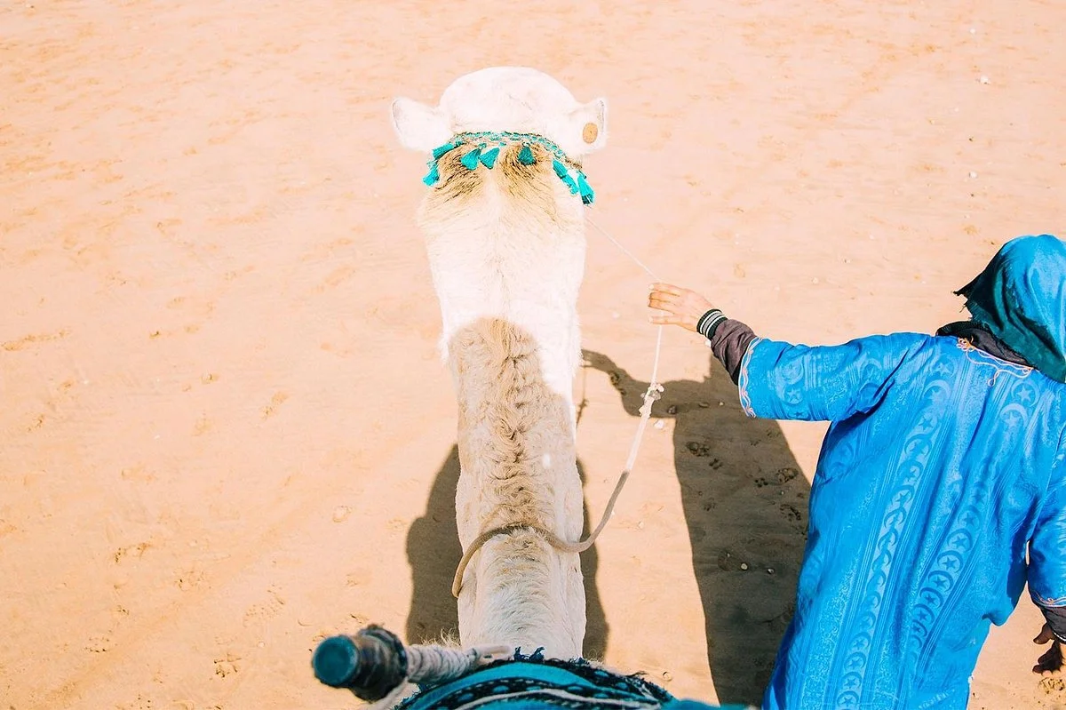 Morocco Shining Tours