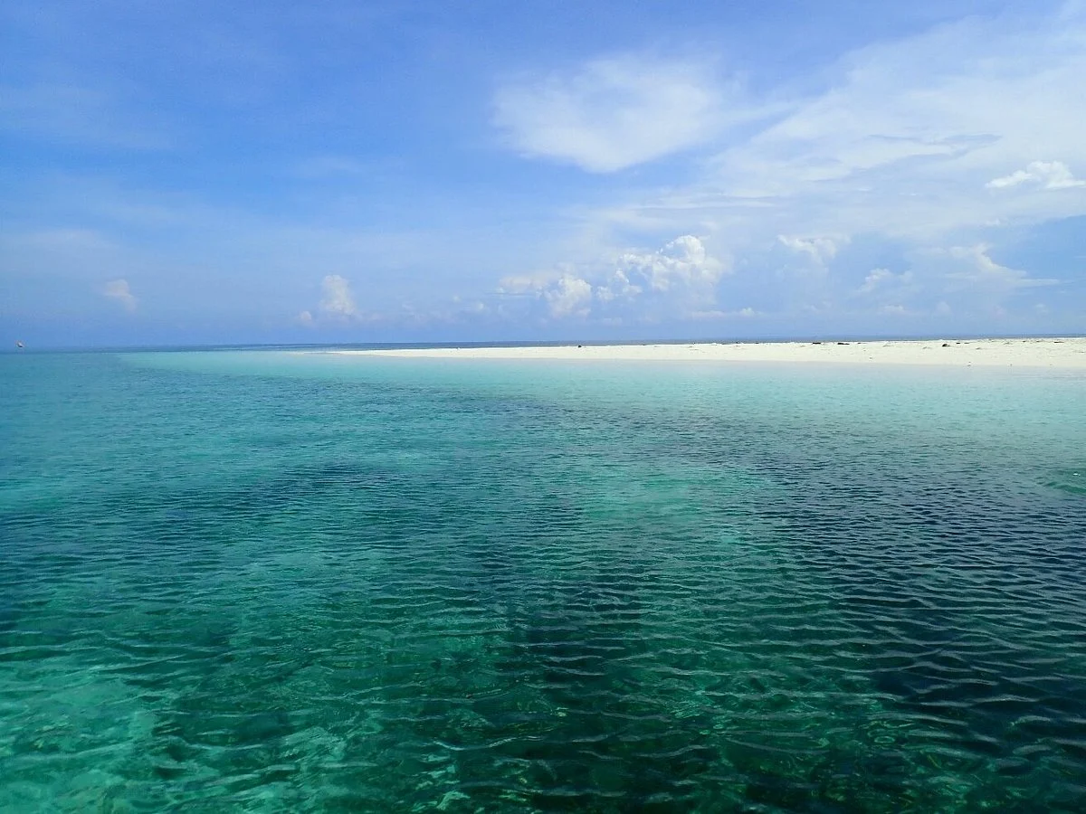 Hajibei Tours And Safaris