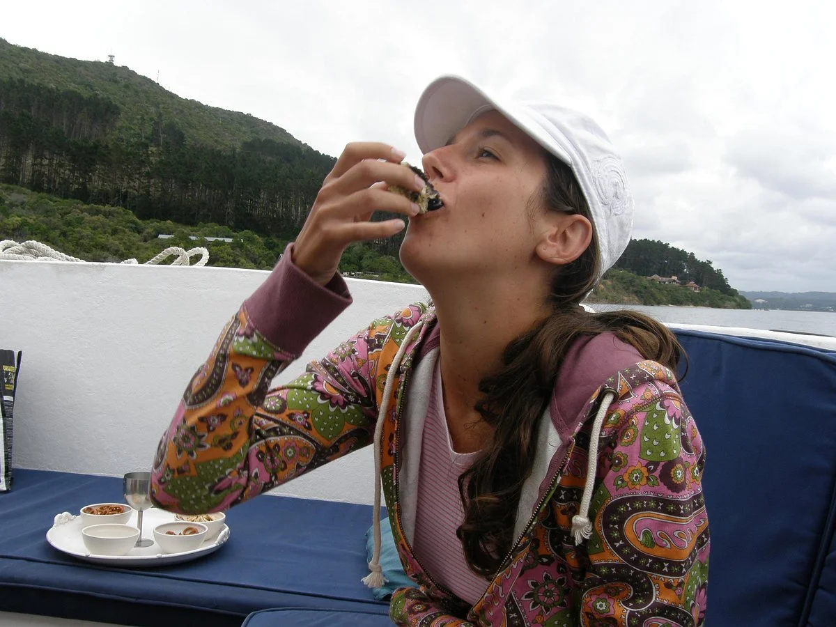 Knysna Charters