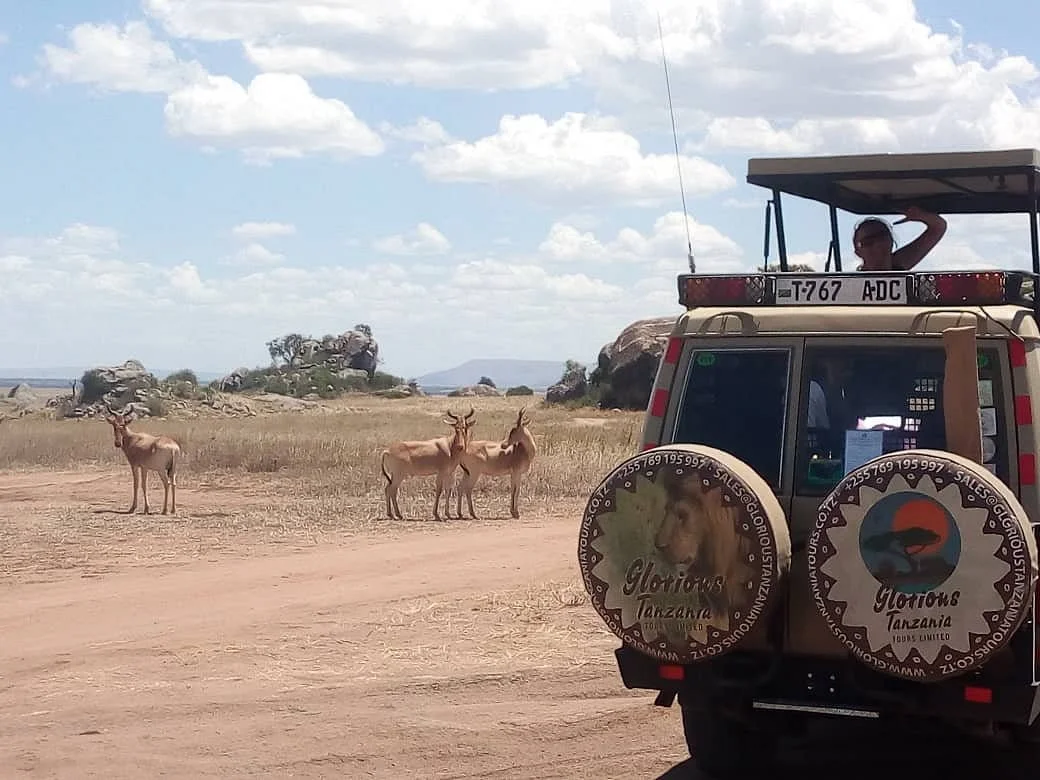 Glorious Tanzania Tours