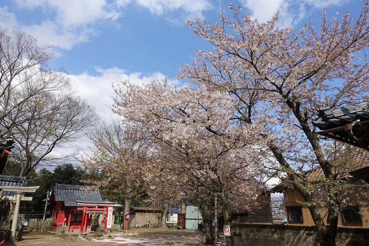Mikunicho