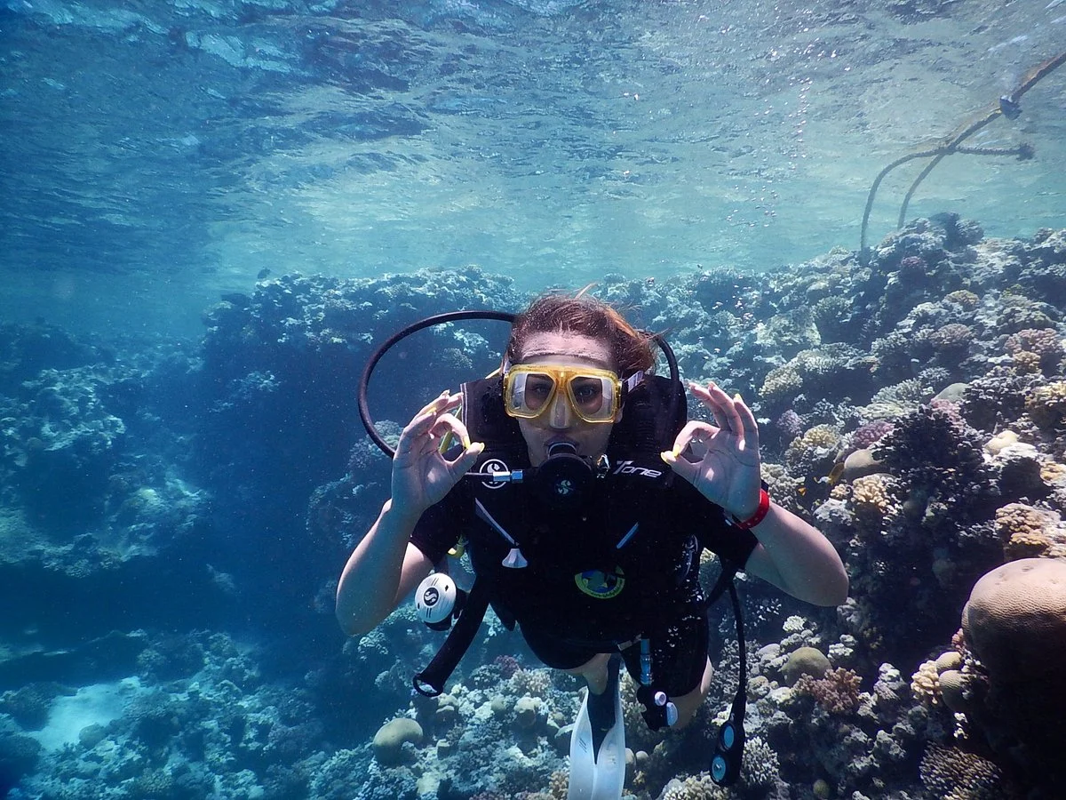 GDolphin Diving Center
