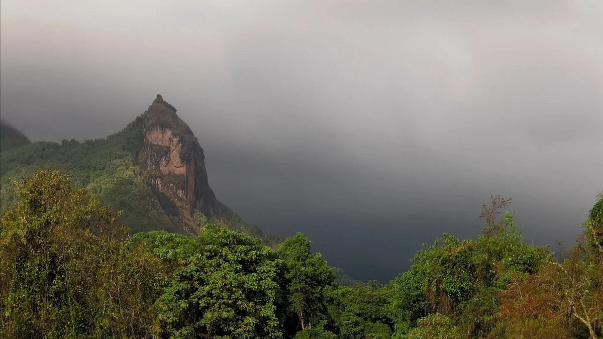 Bale Mountains Eco Trekking Tours