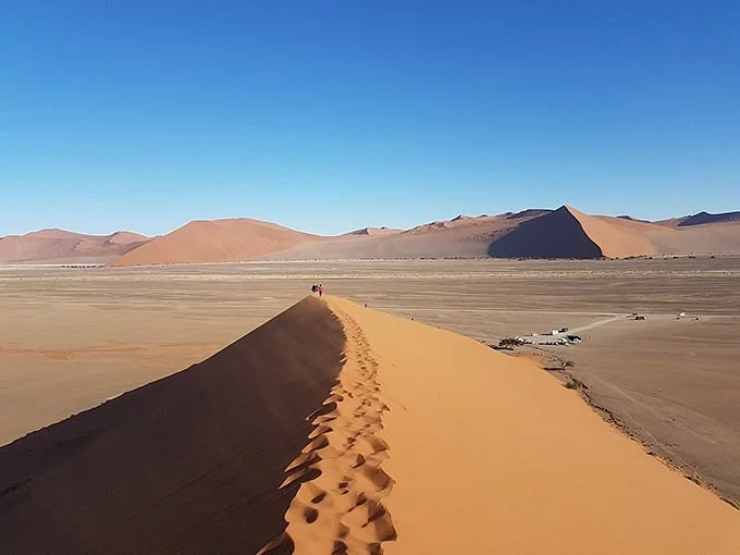 Discover Namibia Private Day Tours and Safaris