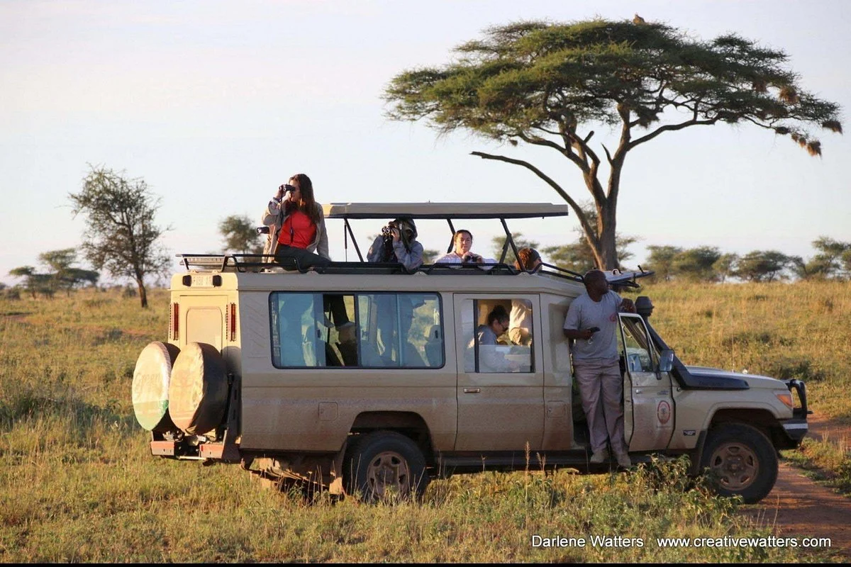 Matangos Expeditions