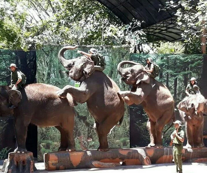 Taman Safari Prigen