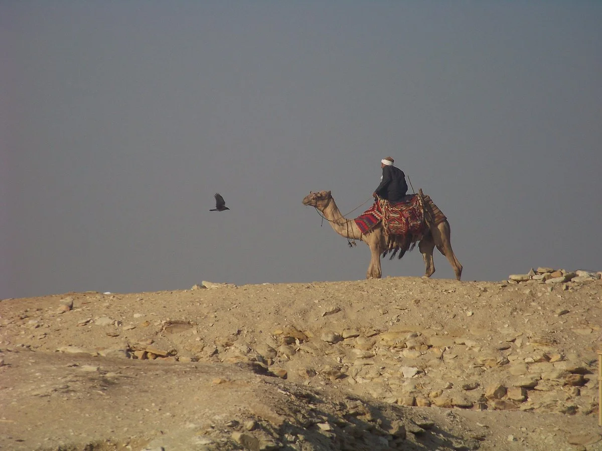 Hadeda Travel - Day Tours
