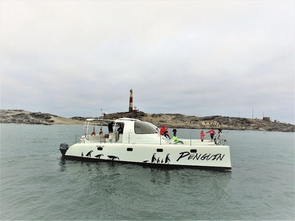 Penguin Catamaran Tours
