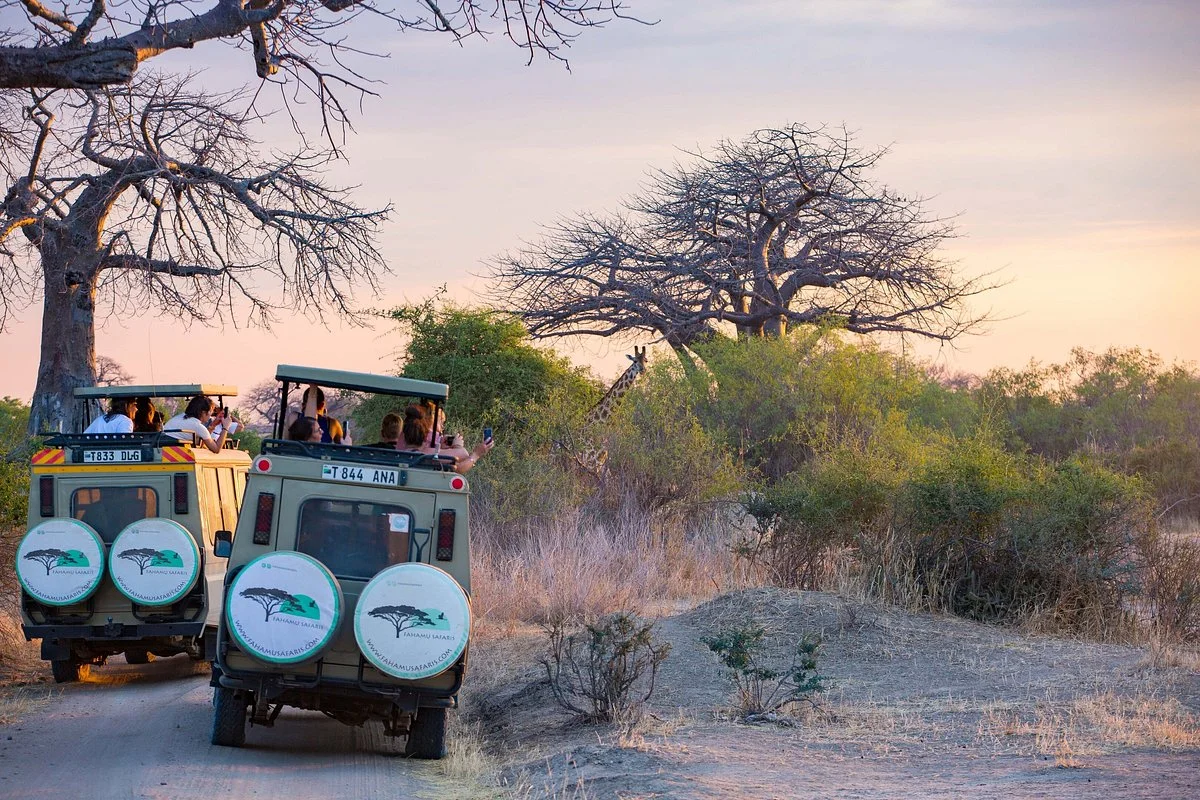 Fahamu Safaris