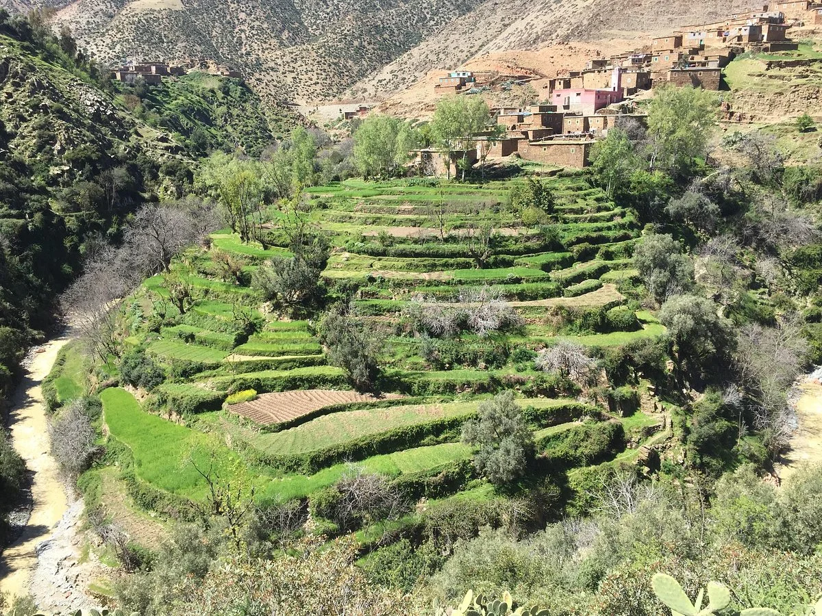 Amizmiz Trekking - Day Tours
