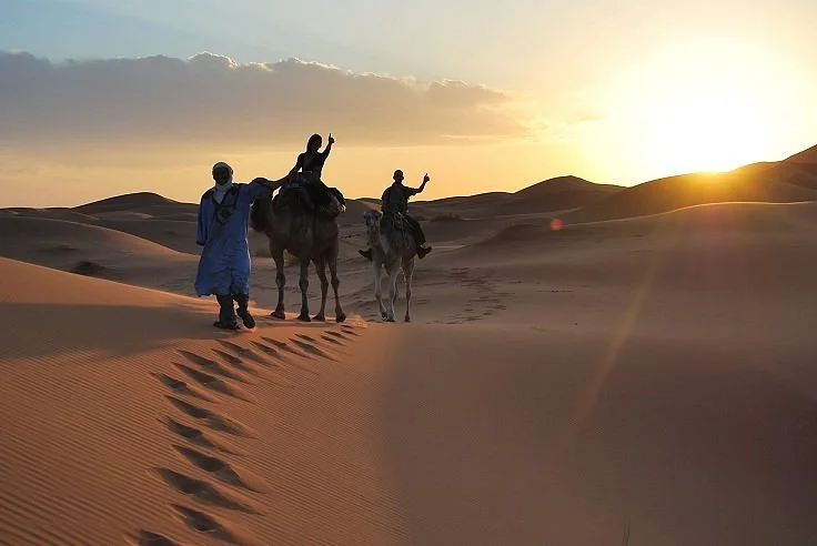 Amanzal Travel Day Tours