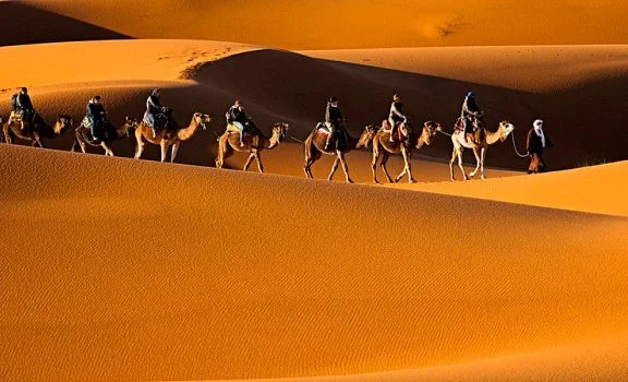 Tours in Marrakech company
