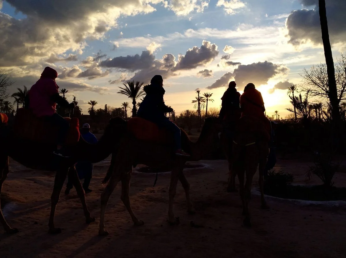 Imagine Sahara Tours